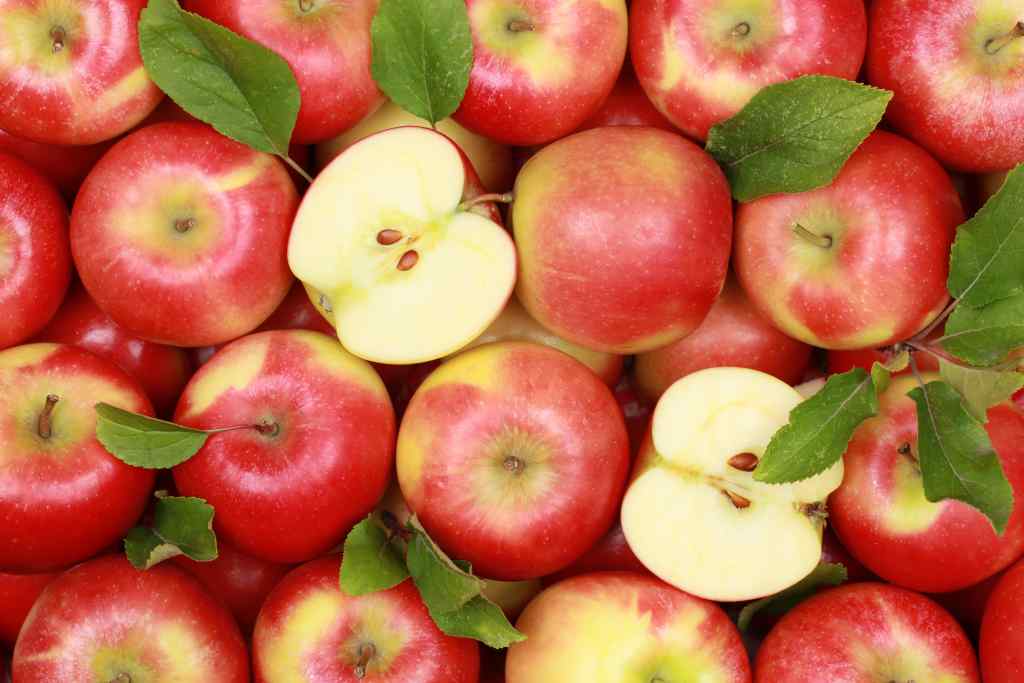 Tips Menghindari Perubahan Warna pada Buah Apel yang Telah Dikupas