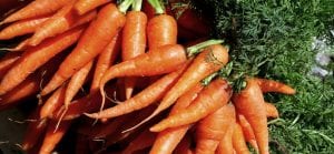 doktersehat-wortel-sayur