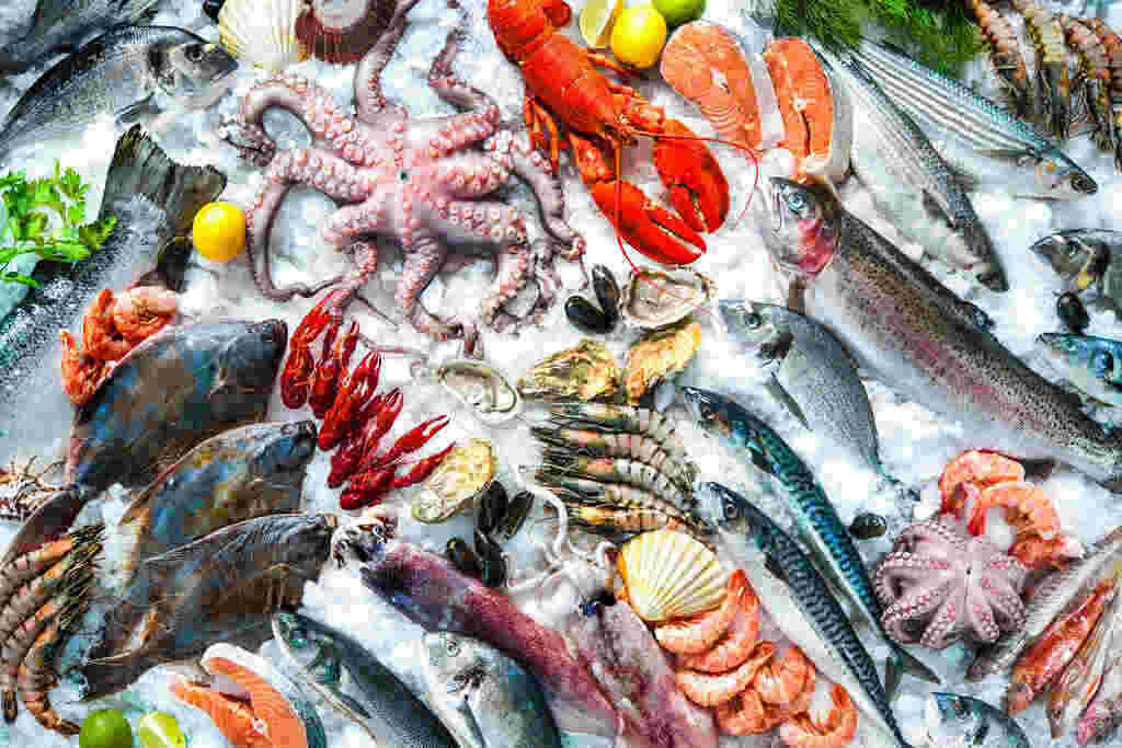 11 Manfaat Seafood bagi Kesehatan, Cegah Depresi hingga Stroke