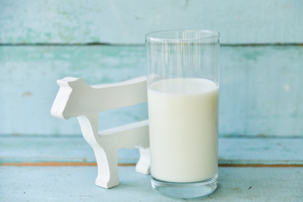 Sebaiknya Pilih Susu Hangat atau Susu Dingin?