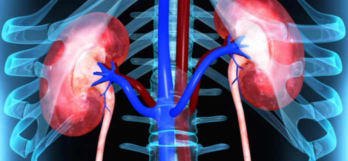 penyakit-nefritis-doktersehat