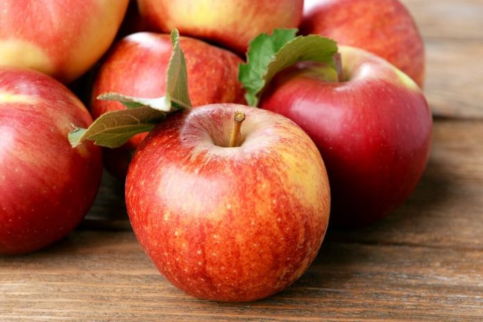 Doktersehat-manfaat buah apel bagi kesehatan