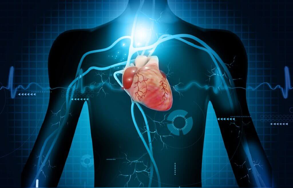 Apa Penyebab Jantung Bocor? Cek Penjelasannya di Sini