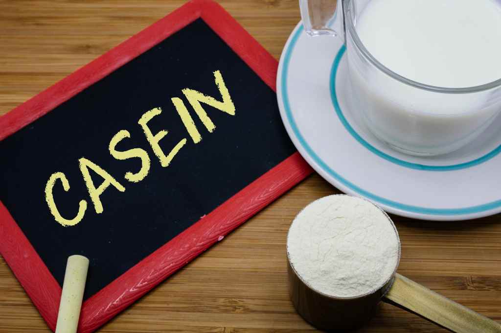 6 Manfaat Kasein bagi Tubuh – Jenis Protein Terbaik