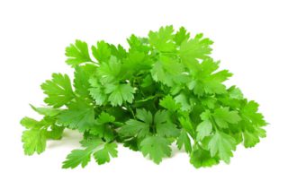 12 Manfaat Daun Parsley untuk Kesehatan Tubuh