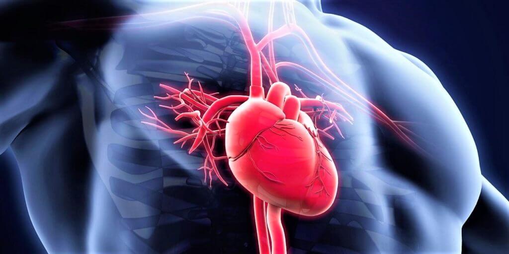 Gara-Gara Hal Ini, Pria Lebih Rentan Terkena Penyakit Jantung