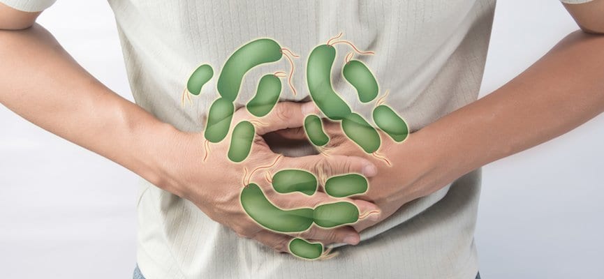 Waspadai, Ini 6 Bakteri Penyebab Keracunan Makanan