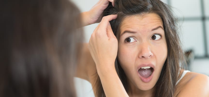 3 Penyebab Kutu Rambut Bersarang di Kepala Anda