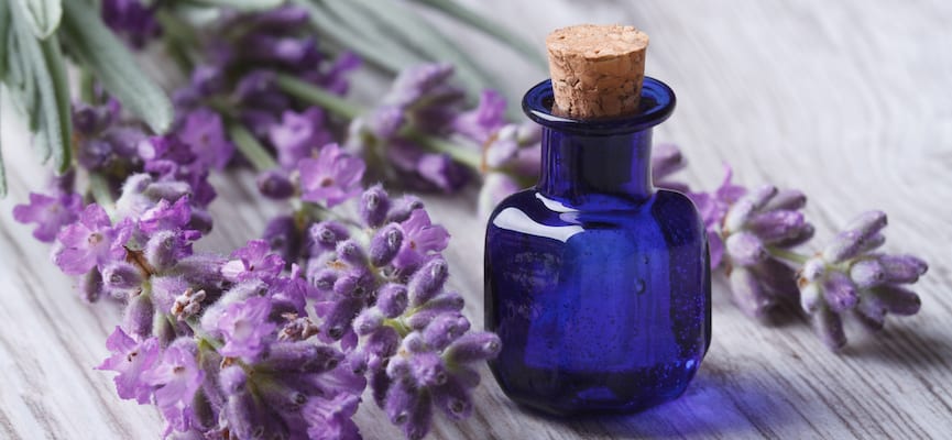 Khasiat Minyak Lavender untuk Mengatasi Masalah Kulit