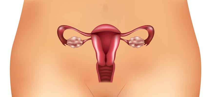 Beberapa Hal Yang Sebaiknya Diketahui Mengenai Kista Ovarium