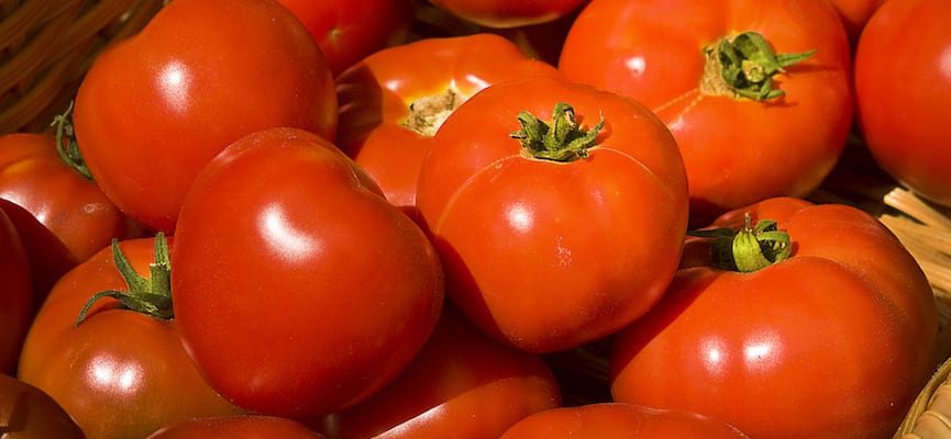 Tomat, Sayuran Segar Pengusir Stroke