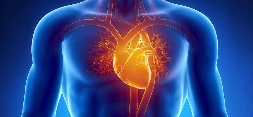 3 Jenis Utama Gangguan Jantung yang Wajib Diketahui