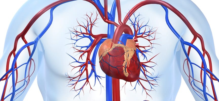 Gagal Jantung – Penyebab dan Tipe