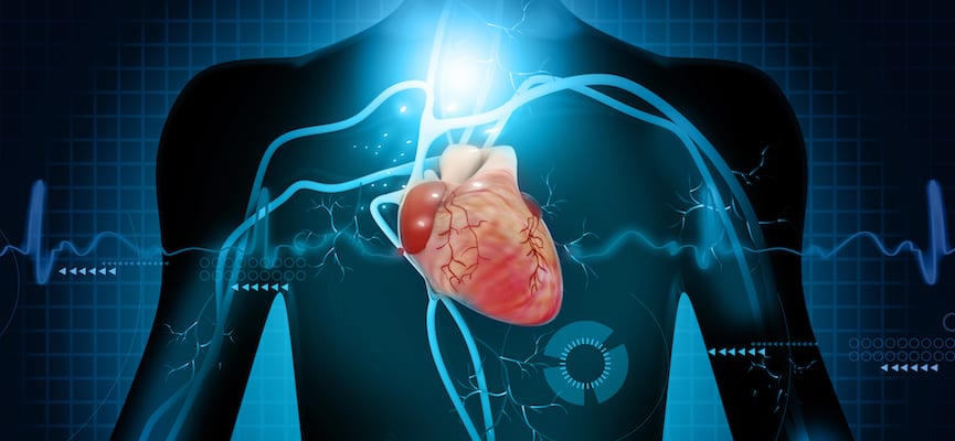 Elektrokardiogram (EKG) – Anatomi Dasar Jantung