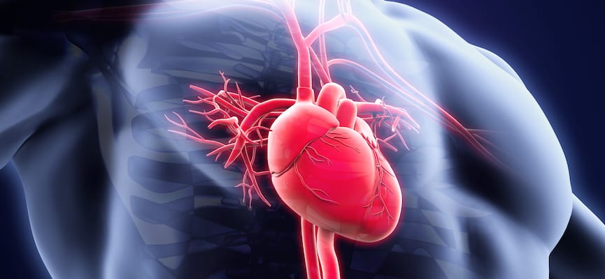 Fakta tentang Penyakit Jantung dan Pembuluh Darah