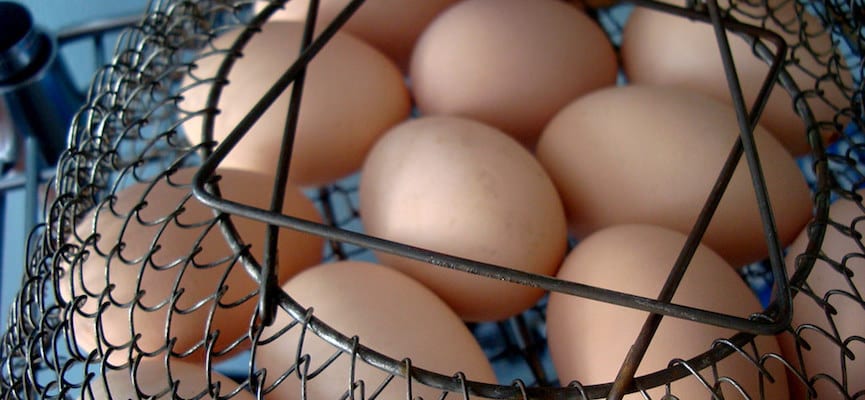 Mengapa Telur Sebaiknya Tidak Disimpan di Lemari Es?