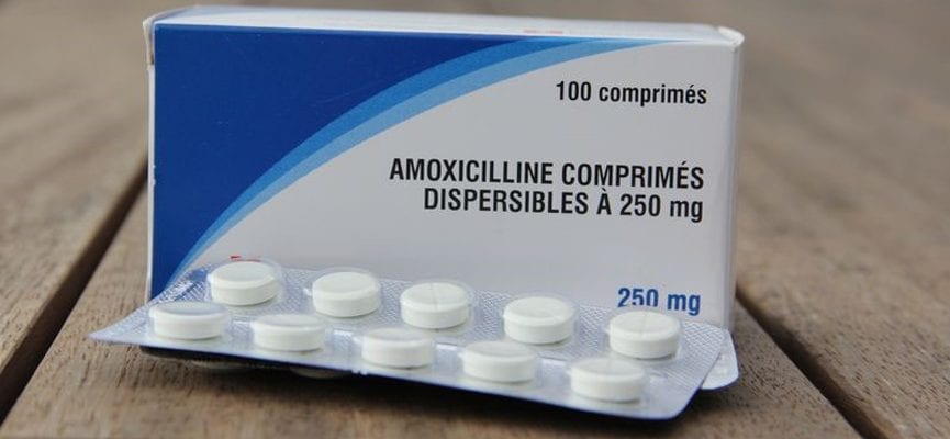 Amoxicillin – Dosis dan Penggunaan pada Dewasa