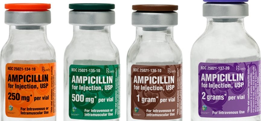 Ampicillin – Kontraindikasi dan Efek Samping