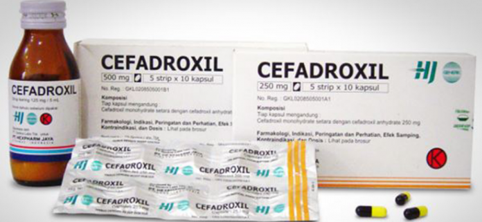 cefradroxil-doktersehat