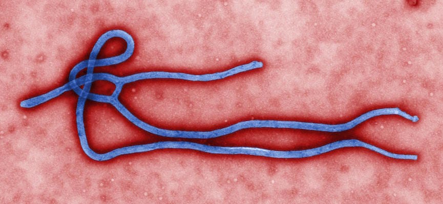 Vaksin Ebola Berhasil Ditemukan