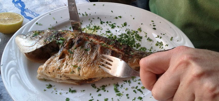 Berbahayakah Jika Kita Mengonsumsi Daging Ikan yang Berlemak?