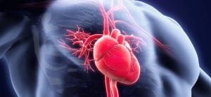 Jantung-Bocor-doktersehat