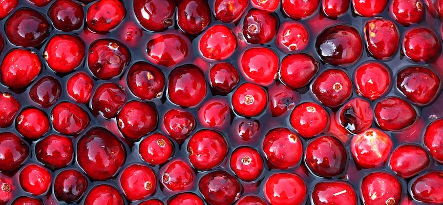 Ekstrak Buah Cranberry Diyakini Mampu Mengatasi Infeksi Saluran Kemih
