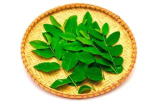 Menilik Beragam Manfaat Daun Katuk untuk Kesehatan Ibu Hamil