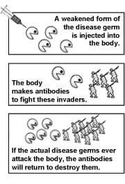 Ilustrasi mengenai bagaimana cara vaksinasi bekerja
