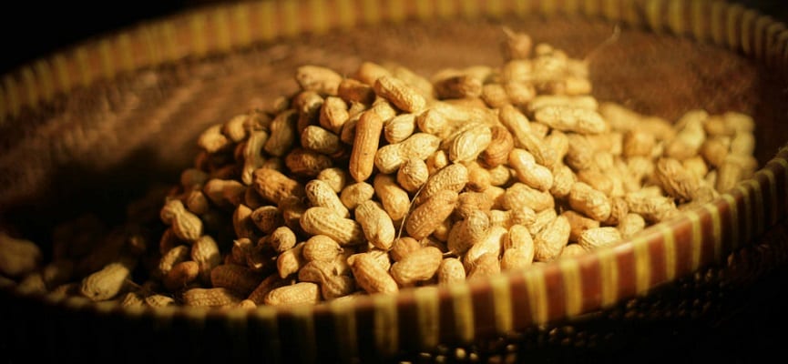 Kacang Tanah, Makanan Sehat yang Bisa Mencegah Penyakit Jantung