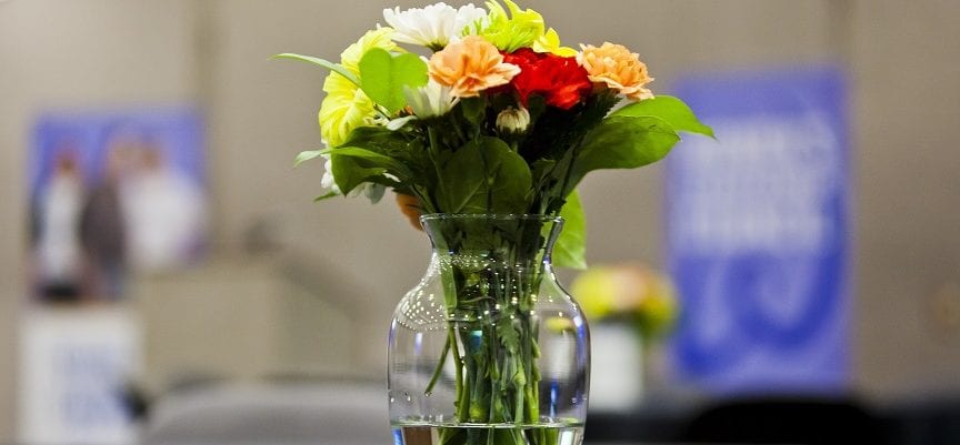 Bunga Yang Melambangkan Depresi - 10 Manfaat Bunga Safron: Obati Gejala