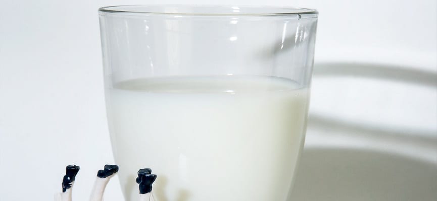 Bahaya Minum Susu Terlalu Banyak pada Anak-Anak