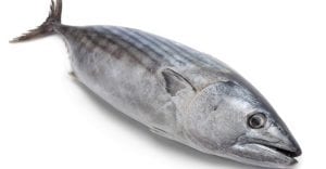 omega-3-doktersehat