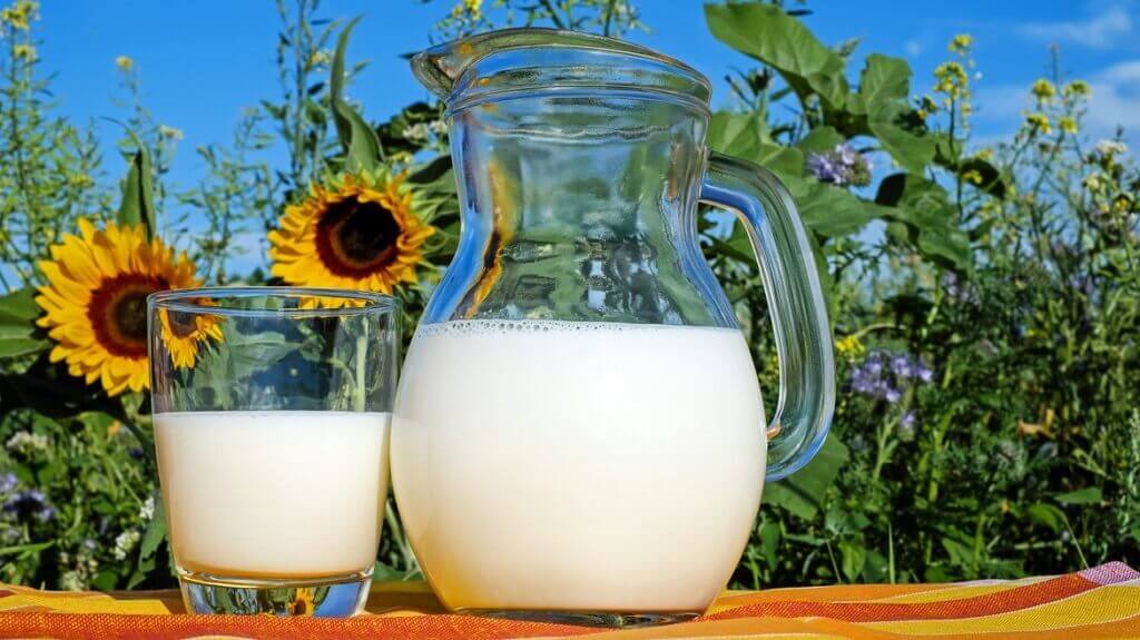Benarkah Minum Susu Ibu Hamil Bisa Membuat Gemuk?