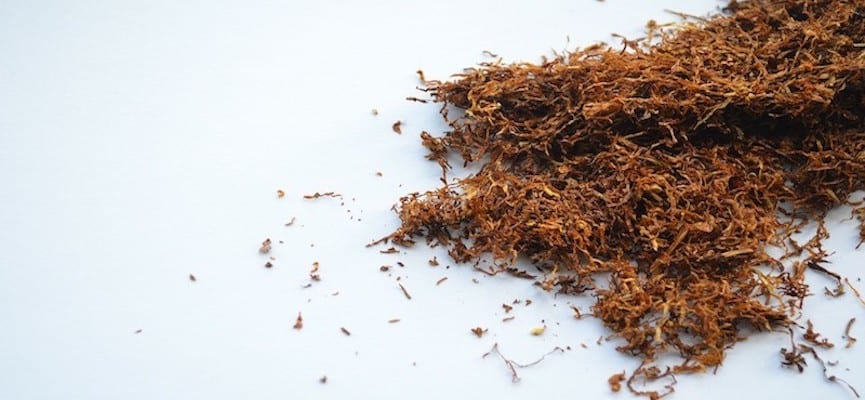 10 Obat Legal yang Paling Candu: Nikotin