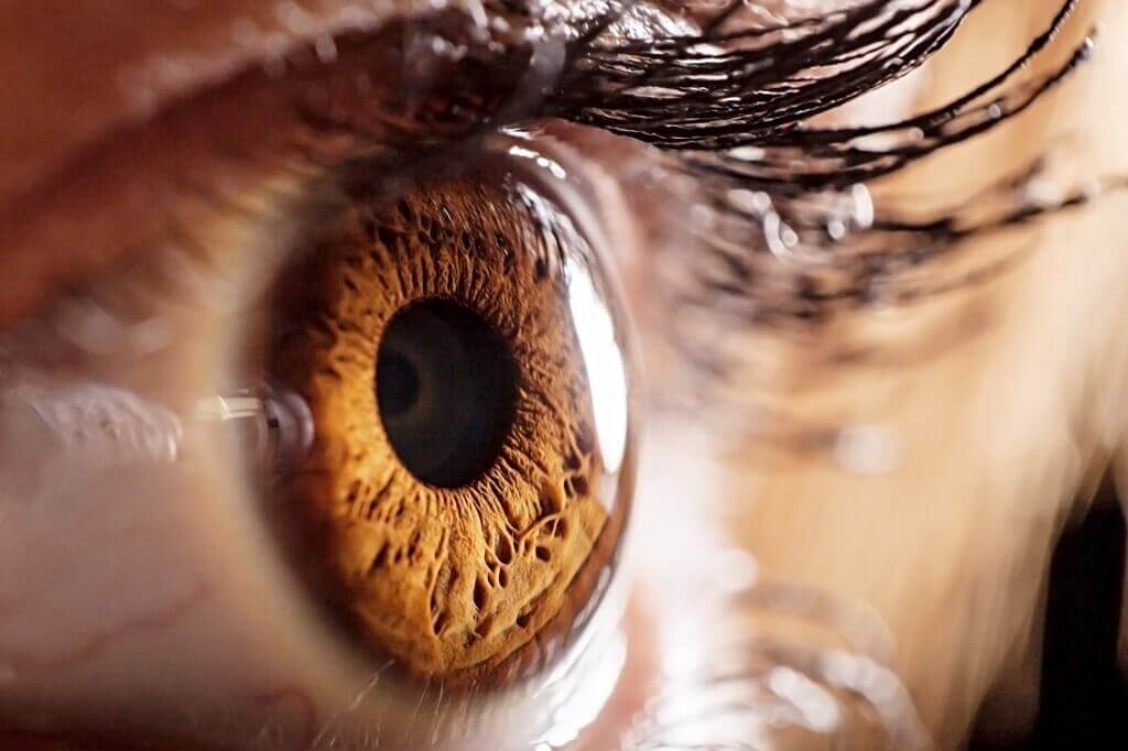 7 Cara Menyehatkan Mata yang Mudah Anda Lakukan