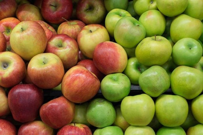 manfaat-apel-hijau-doktersehat