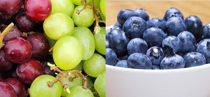 Kamu Pilih yang Mana, Blueberry atau Anggur?