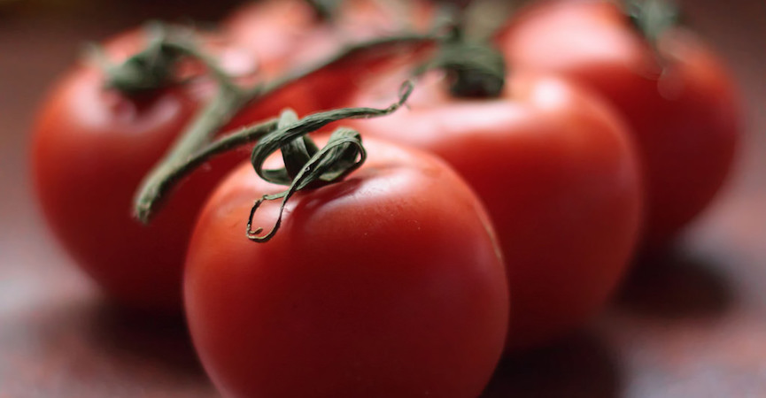 Tomat Mengakibatkan Masalah pada Ginjal?