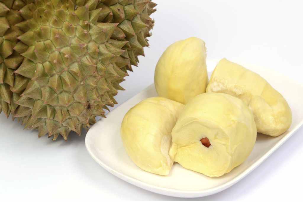 Mengenal Manfaat Durian untuk Meningkatkan Kesuburan Wanita