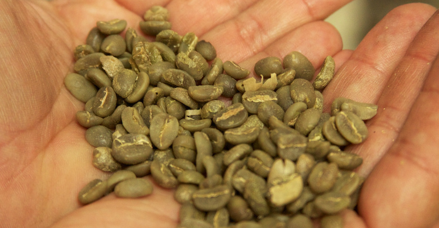 Benarkah Green Coffee Mampu Menurunkan Berat Badan?