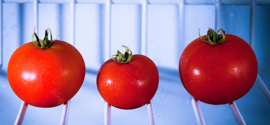 Manfaat Tersembunyi Tomat untuk Vitalitas Pria
