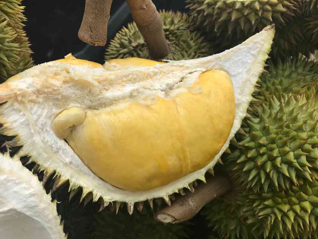Kandungan Durian Lokal dan Impor untuk Cegah Over Asupan Gizi!