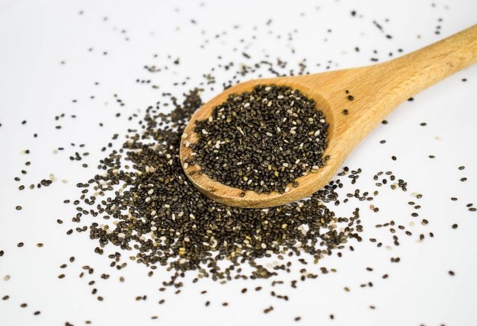 doktersehat-biji-chia-seeds