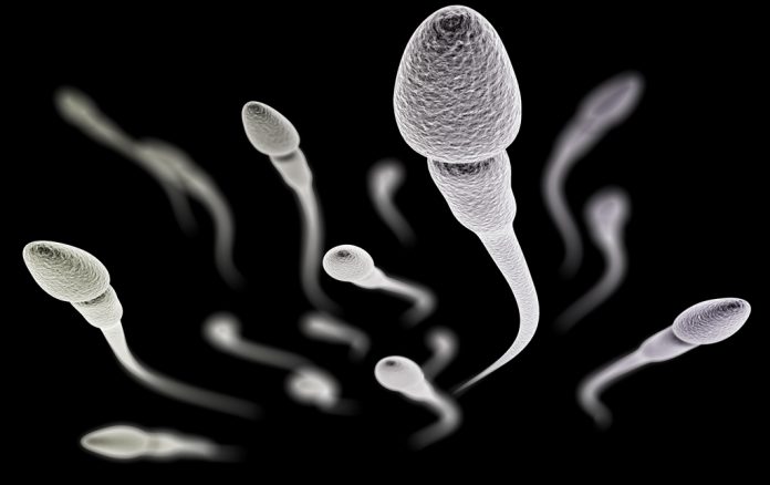  Penyebab  Sperma Terlalu Kental Dokter Sehat