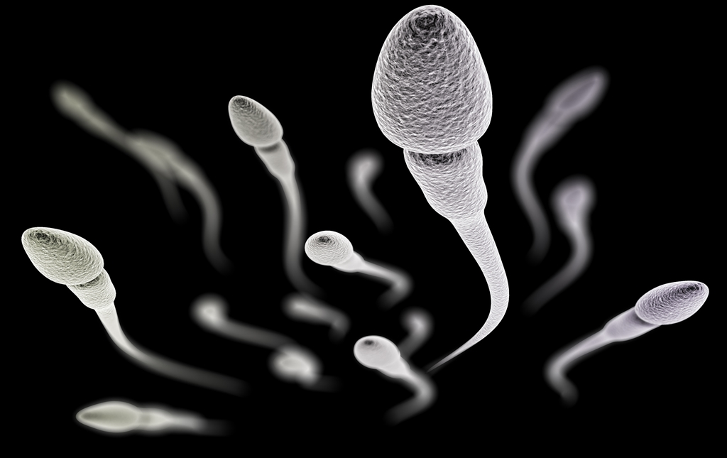 Inilah Penyebab Sperma Terlalu Kental
