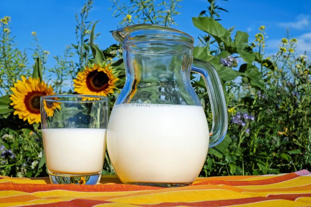 Benarkah Susu Kambing Mampu Menjaga Kesehatan Kulit?