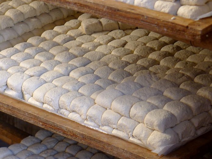 doktersehat-khasiat-tahu