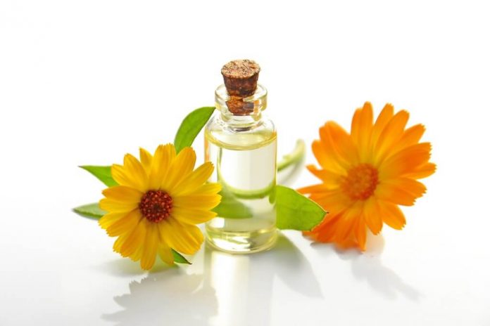 doktersehat-ragam-seed-oil doktersehat-ragam-seed-oil