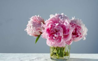 6 Manfaat Bunga Peony untuk Kesehatan Kulit